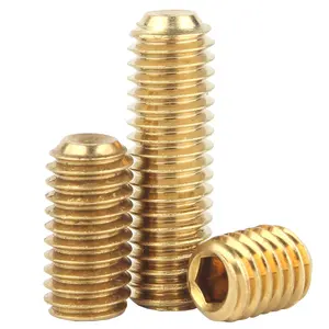 High Quality Customization Stainless Steel Black Metal Copper Head Grub  Screw Set Screws with Brass Tip Point - China Auto Parts, Stainlless Steel