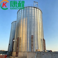 Système de stockage des céréales, silo galvanisé à chaud pour le stockage du maïs, du blé, du riz, du soja, du sorgho, réservoir de stockage des céréales