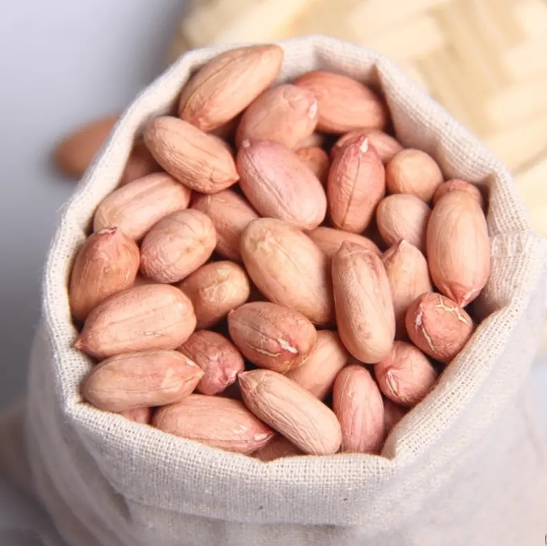 Um grande número de amendoim cru de alta qualidade é exportado, e as matérias-primas são frescas