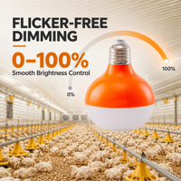 Ampoule LED E27 Dimmable IP67 Étanche 48V DC pour Éclairage de Poulaillers, Idéale pour les Fermes de Poulets de Chair, de Poules Pondeuses et d'Éleveuses