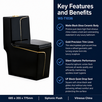 WC monobloc carré noir et or, vente chaude, WC en céramique à siphon avec design moderne et créatif pour salle de bain