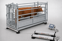 Barres de pesée robustes HCE HD1010 3000 kg avec câble blindé pour le pesage des bovins dans les étriers de pesée