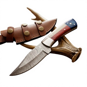 Couteau à lame fixe Drop Point en acier Damas, manche en bois Pakka bleu, garantie 3 ans, dureté 58-60, 20 cm, camping, bricolage, survie - Product Image 1