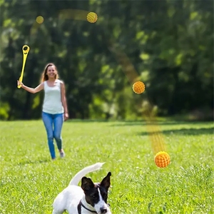 犬のための屋外スローボールランチャーテニスボール犬のフェッチおもちゃ内蔵トレーニングスキーカーマッサージグルーミング報酬毛 - Product Image 4