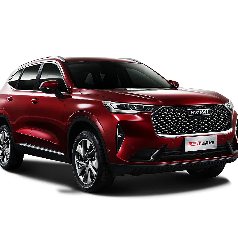 MANO IZQUIERDA de coche Haval H6, 3 usadas, buena calidad