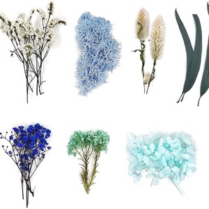 Lot de plantes séchées naturelles pressées (fleurs et feuillage) pour loisirs créatifs, fabrication de savons et décoration de boutiques – Vente en gros - Product Image 5