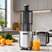 Extracteur de jus électrique 350 ml en acier inoxydable à pression à froid, moteur DC, mastication lente, faible bruit, éjection automatique des pulpes, nettoyage facile, pour la maison