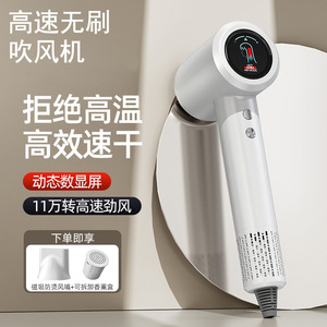 Secador de pelo de alta velocidad con cuidado de iones negativos para uso en salón y en casa - Product Image 1