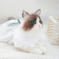 Dropshipping Cadeau Simulation Jouets en peluche Clone Cat Home Decorations Soothing Toys Cadeaux d'anniversaire pour enfants