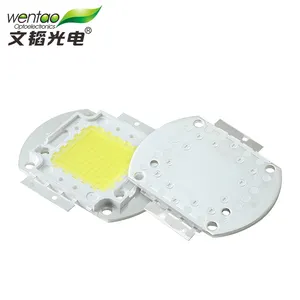 Bridgelux Low Price 50W 100W Portable Integrated Panel Square COB Led Light Source For Floodlight and lighting