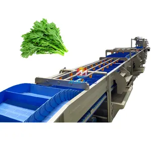 Commercial Vegetable Washer And Dryer Machine For Wash Potato Celery Green Onions With Air Bubble