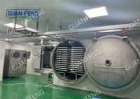 Vacüüm-vriesdroger op maat, lyofilisator, aardbeien-vriesdroogapparatuur voor fruitvriesdroogverwerkingslijn