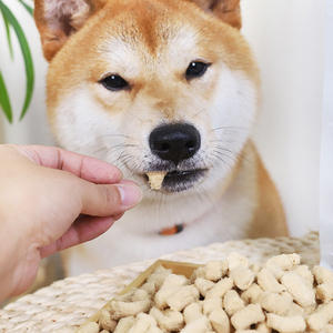 Factory Customizable Freeze-Dried Cat Snack 100% High Nutrition Premium OEM Custom Pet Supplies FD Meat and <strong>Bone</strong> Stick for <strong>Dog</strong> - Product Image 2