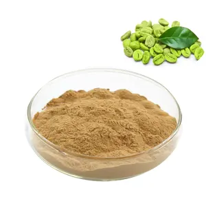 全価格純粋なグリーンコーヒー豆エキス粉末クロロゲン酸