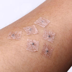 送料無料600ピース/バッグ伝統的な中国医学ワカリア耳の種中国の耳の鍼治療 - Product Image 4