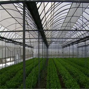 Serre agricole multi-travées avec couverture en film PE double couche et structure galvanisée pour la culture des cultures - Product Image 1