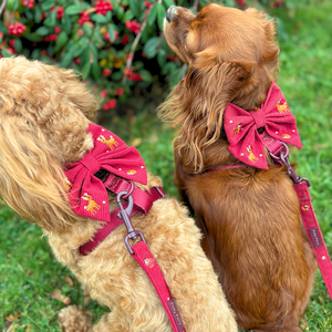 Arnés de Peluche con Patrón de Costura Bordado y Cómodo, con Correa, Lazo y Soporte, Conjunto de Chaleco y Correa para Mascotas Sherpa - Product Image 4