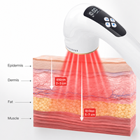 Appareil laser froid haute puissance 810 nm essentiel pour la famille, certifié CE, léger et portable, soulage les douleurs musculaires, la sciatique et les blessures sportives