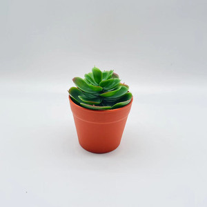 Plantes succulentes artificielles en pot, mini décorations en PVC souple pour la maison, le bureau, ensemble de 6 pièces - Product Image 5