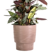 Nouveaux pots de fleurs en plastique cuivre antique/Pots de plantes en PP pour la décoration intérieure ou extérieure