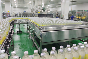 Complete Automatic <strong>Glass</strong> Bottle Fruit Juice Filling And Capping <strong>Machine</strong> Production Line - Product Image 4