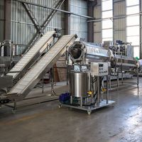 Roestvrijstalen Automatische Kruiden Snack Machine Puff Snack Pellet Voedselverwerkende Lijn Voor Fruit Groenten
