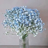 Glace bleu gypsophile fleurs semi-séchées frais bricolage ornements floraux faits à la main pour les filles saint valentin remise des diplômes pâques