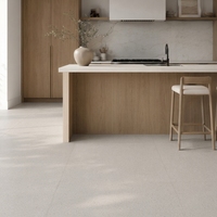 Dalles de terrazzo en pierre artificielle, revêtement de sol commercial en terrazzo, résistant à l'usure, carreaux de sol pour appartement