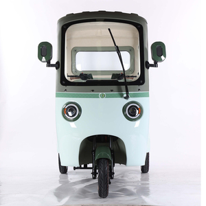 Tricycle électrique à carrosserie ouverte pour adultes, <span class=keywords><strong>moto</strong></span> à trois roues, vélo électrique, roues fermées, passager, moteur électrique, voiture, moteur EEC puissant - Product Image 5
