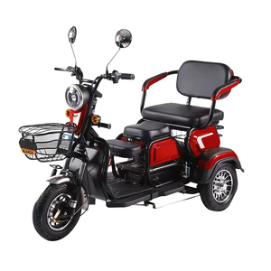 <span class=keywords><strong>Triciclo</strong></span> Eléctrico de 600W 800W para Adultos, Motocicleta de 3 Ruedas para Pasajeros o Reparto de Comida - Product Image 1