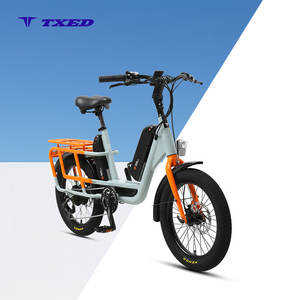 TXED Factory <span class=keywords><strong>Vélo</strong></span> <span class=keywords><strong>Cargo</strong></span> <span class=keywords><strong>Électrique</strong></span> 7 Vitesses, Moteur Arrière 48V/250W, Écran LCD, <span class=keywords><strong>Vélo</strong></span> <span class=keywords><strong>Électrique</strong></span> de Livraison pour Adulte - Product Image 1