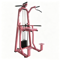 Machine Commerciale Multifonctionnelle d'Entraînement en Salle de Sport pour Tractions et Dips, Équipement pour Exercices du Dos, des Triceps et de la Poitrine, Direct Usine, Certifié CE