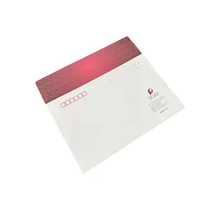 Customized Envelope Logo White Kraft Paper Envelope Bag Chinese Envelope File Invoice Bag Biodegradable