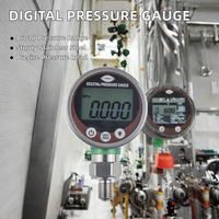 Manomètre à affichage numérique YUFAVOR, prix d'usine, matériau SS304, précision 0,5 %, alimentation par batterie, pratique
