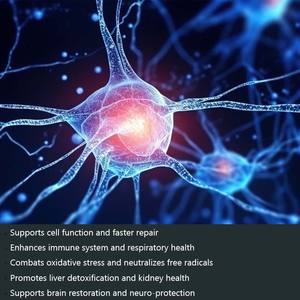 Il supplemento di N-acetil cisteina promuove la disintossicazione del fegato e la salute dei reni supporta la funzione cellulare NAC Gummies - Product Image 2