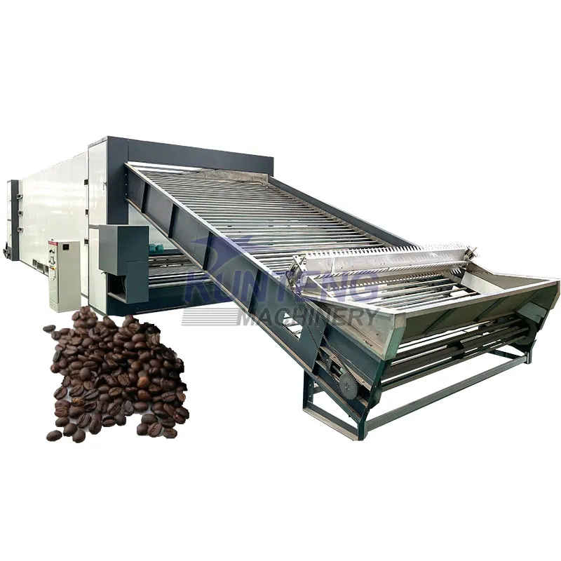 Continuous conveyor Palm kernel jamur cabai pengering kacang mesin pengering lada hitam tentara terbang segar pengering cacing dehidrator