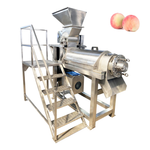 Presse-agrumes en acier inoxydable VBJX pour ananas, tomates, extracteur de pulpe, machine à jus de fruits et lait de coco avec broyeur - Product Image 1