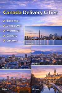 DDP Shipping China <strong>to</strong> <strong>Canada</strong> Door <strong>to</strong> Door Sea Freight LCL+Express With Insurance 30-45 Days Transit &amp; 24/7 Support Tax Included - Product Image 3