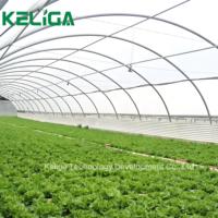Serres agricoles personnalisées hydroponique Nft Channel systèmes de culture pour la culture