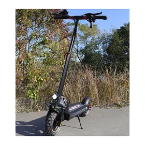 Venta caliente 800W Scooter eléctrico para adultos Potentes scooters de neumáticos de 10 pulgadas con asiento Mejor scooter eléctrico al por mayor