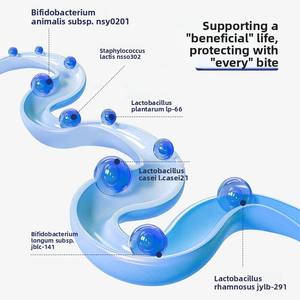 Poudre de Protéine de Lactosérum au Ginseng et Cordyceps, Probiotique Personnalisé, Isolat de Protéines Naturelles Riches en Protéines, Usage Adulte, Endurance, Trésor Impérial - Product Image 3