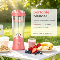 Compacte draagbare blender met 500ml kan, 4000mAh batterij, smoothie-sapcentrifuge, USB-C oplading, CE, LVD, LFGB, 6 roestvrijstalen messen.