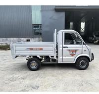 Camionnette électrique à 4 roues avec système de levage hydraulique, pneus tout-terrain, moteur 2000W, autonomie 301-400 km, petit véhicule électrique