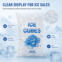 Sacs à glace en plastique alimentaire résistant aux déchirures, avec logo personnalisé, sacs à glace en LDPE