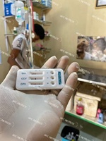 Kit de test rapide d'allergie IgE pour chiens, équipement de diagnostic vétérinaire canin, kit de test du parvovirus