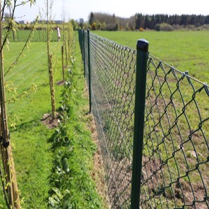 Valla <span class=keywords><strong>de</strong></span> Eslabones para <span class=keywords><strong>Marina</strong></span> <span class=keywords><strong>de</strong></span> Yates, Almacenamiento <span class=keywords><strong>de</strong></span> Embarcaciones y Muelle - Product Image 4