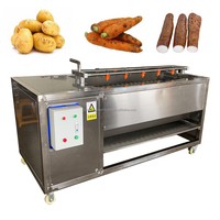 Hot-Selling Automatische Borstelwasmachine Voor Gember, Yam, Pinda-Groente-En Fruitreiniger Met Hoge Capaciteit Met Een Goede Prijs