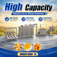Ligne de production de snacks et pâtes 3D à double vis automatique CE en SUS304, 200-1000 kg/h, machine extrudeuse alimentaire pour macaroni