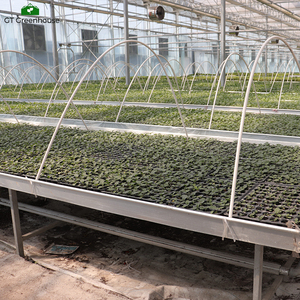 Banco rodante galvanizado con malla <span class=keywords><strong>de</strong></span> alambre para cultivo <span class=keywords><strong>de</strong></span> plántulas en invernadero GT - Product Image 4