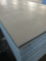 Panneau de support pour carrelage en polystyrène extrudé XPS spécial, avec mortier ciment et treillis en fibre de verre, pour murs de salle de bain, étanche et résistant à la chaleur